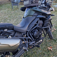 Triumph Tiger XC 800 Verde militare 2014 tratt
