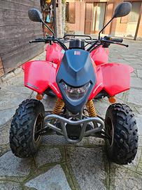 quad berbi 