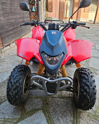 quad berbi 