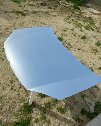 COFANO VOLKSWAGEN GOLF 5/2006