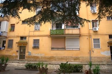 Commenda luminoso bivani