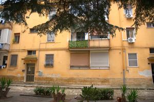 Commenda luminoso bivani