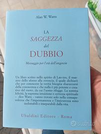 La saggezza del dubbio di Alan W. Watts