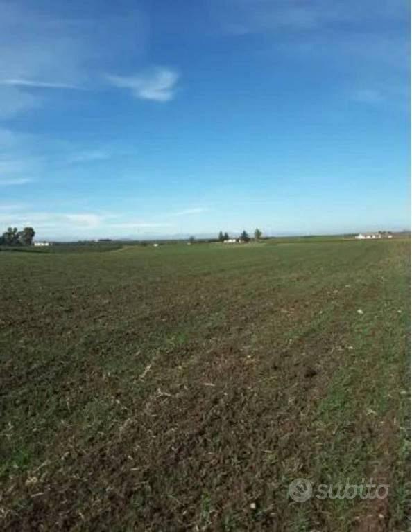 Immobile in asta di 43852 m² a Venosa - Vista 5