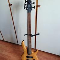 Basso Cort B5 – Buone condizioni