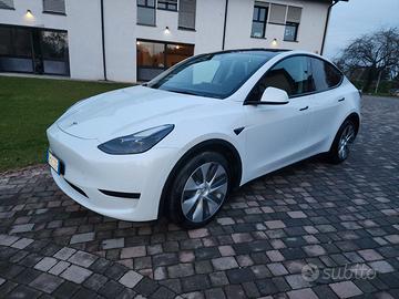 2023 Tesla Model y  RWD