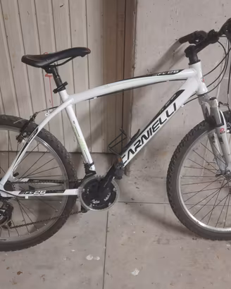 MTB misura 26 Carnielli
