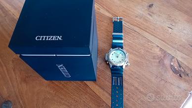 Citizen Promaster Aqualand 