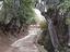 Immagine 11