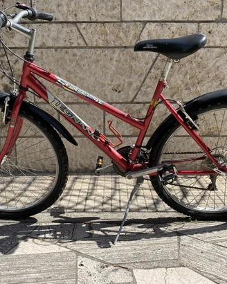 Mountain Bike-Bici Legnano