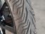 Immagine 14
