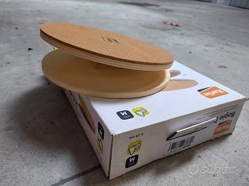 Ruote roditori degu cincillà