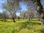 Immagine 22