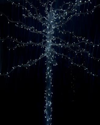 Albero di natale