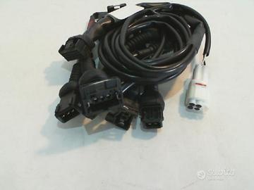 CABLAGGIO RAPID BIKE MONSTER S4 CENTAURO F27DUCMON