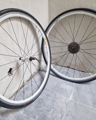 Ruote Bici da Corsa Alexrims 28 Pro