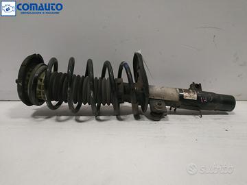 Ammortizzatore ant sx CITROEN C3 II '09