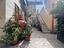 Immagine 10