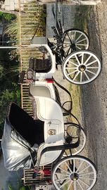 Carrozza per cavalli vis a vis