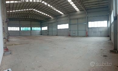 Carpenteria metallica