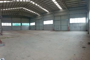 Carpenteria metallica