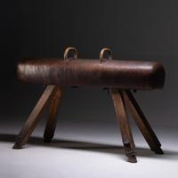 Cavallina ginnica Adam Praha anni 35