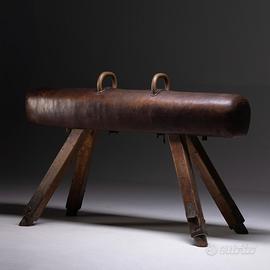 Cavallina ginnica Adam Praha anni 35