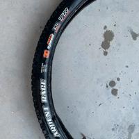 Gomme mtb maxxis ardent race