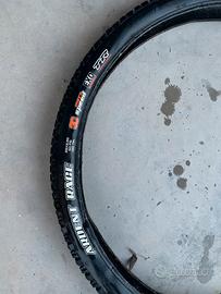 Gomme mtb maxxis ardent race