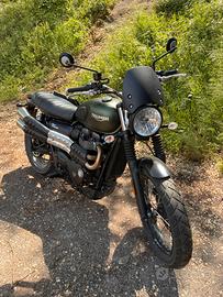 triumph scrambler 900