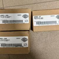 Pastiglie freno Harley davidson