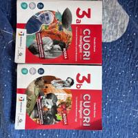 Libri scuola superiore