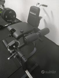 leg extension/curl