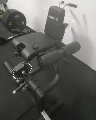 leg extension/curl