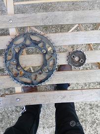 corone pit bike 140
