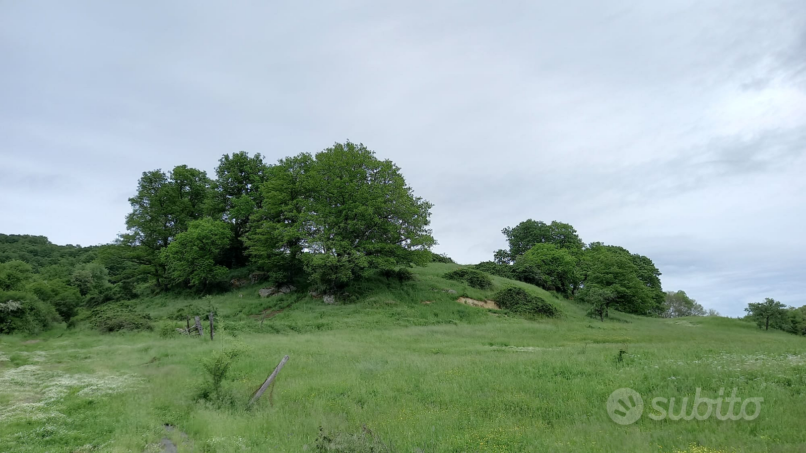 Terreno Agricolo - Vista 4