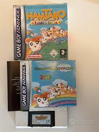 Hamtaro Rainbow Rescue Gameboy boxato funzionante