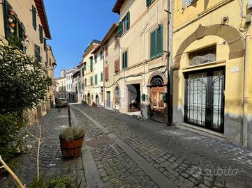 2 LOCALI A MONTE PORZIO CATONE