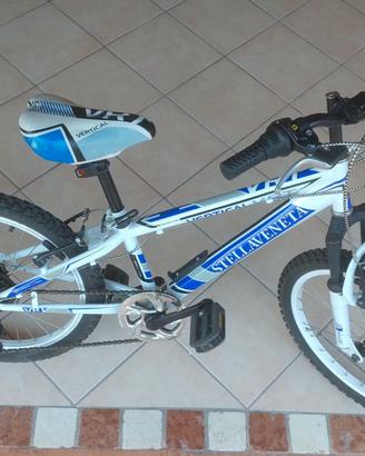 Bicicletta 26  Stellaveneta