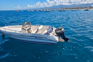 Ranieri Shadow 5 m con Mercury 60 cv