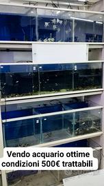 acquario funzionante