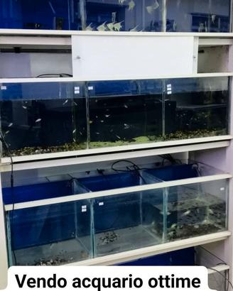 acquario funzionante