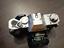 Immagine 5