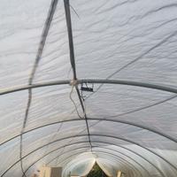 BESSIMA SERRA 26 X 4.50