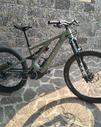 Specialized turbo levo