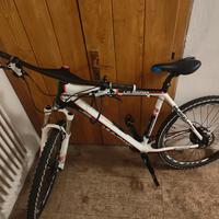 bici MTB Whistle Huron 148 con telaio in carbonio 