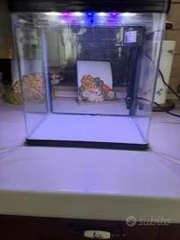 Acquario Nobleza 14 litri