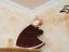 Immagine 21