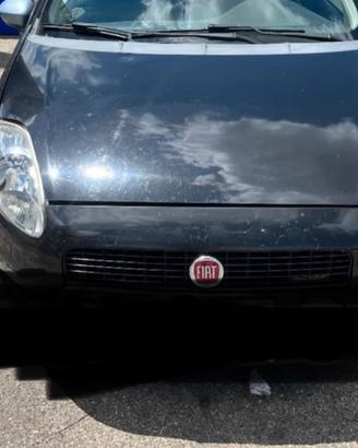 fanali per grande punto con presetta viola