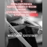 Parrucchiere esperto